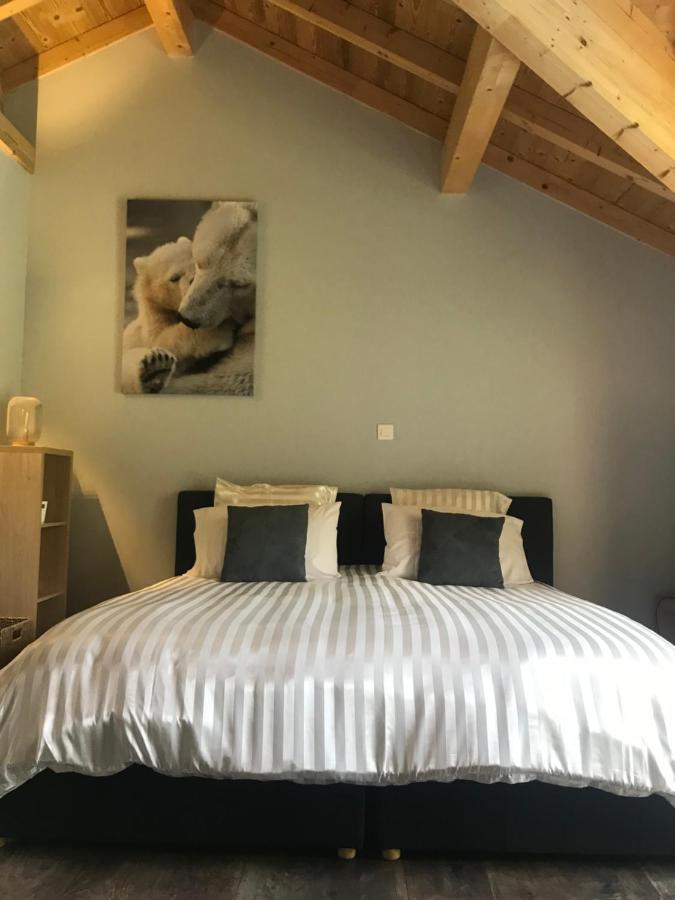 Chalet Barbara With Swimming Pool In The Heart Of Oisans Ле-Бур-д'Уазан Экстерьер фото